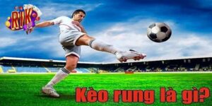 Khái niệm về kèo rung là gì?