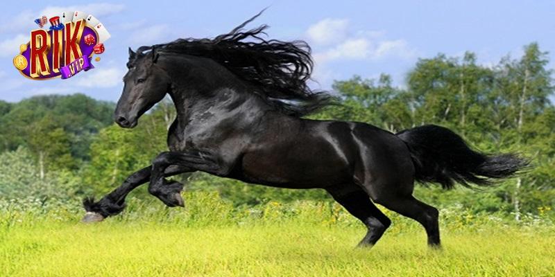 Mơ thấy con ngựa đen